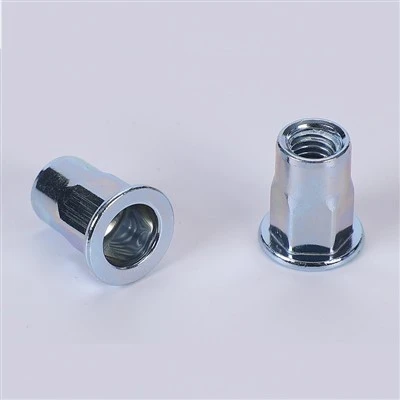 Hex Head Rivet Nut